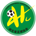 Hồ Bắc U20