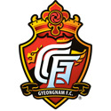 Gyeongnam FC